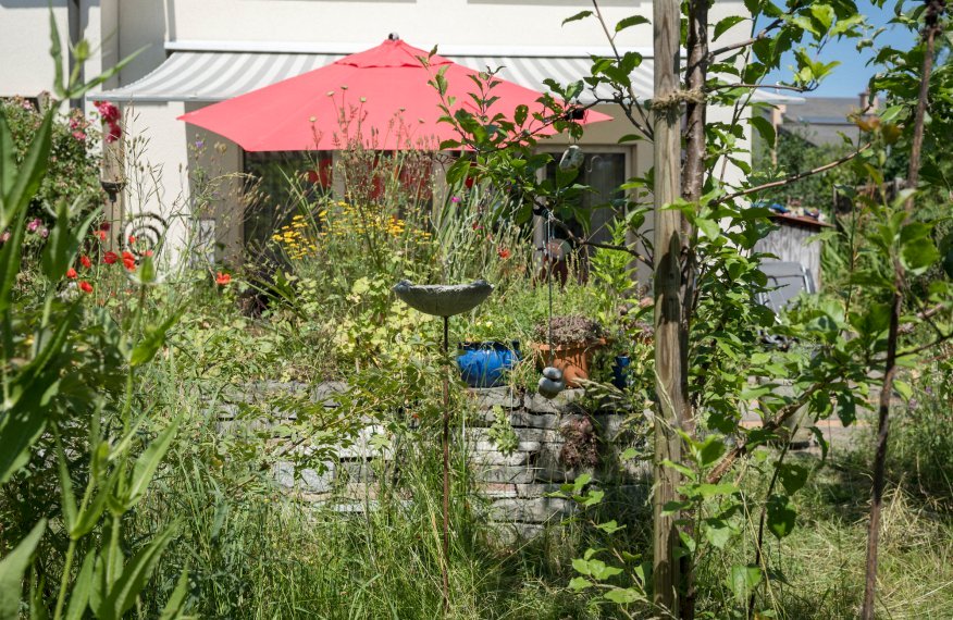 Menschen im Naturgarten am spielen, arbeiten, verweilen, geniessen, essen. Entstanden während der Fotosession «Menschen, jung und alt im Naturgarten» mit Einverständnis der Besitzer:innen der Gärten. Des gens jouent, travaillent, se détendent, profitent et mangent dans un jardin naturel. Réalisé lors de la séance photo «Des gens, jeunes et vieux, dans un jardin naturel» avec l'accord des propriétaires des jardins.
