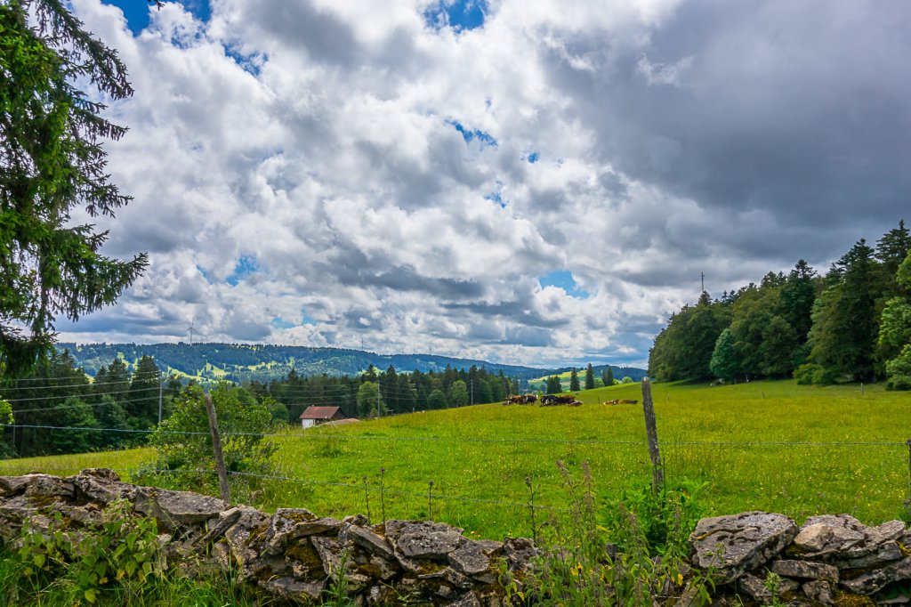 montagnedudroit-3